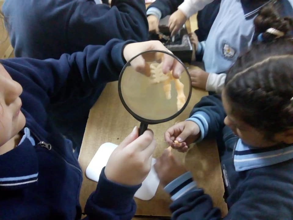 Estudiantes investigando con una lupa en una actividad de ciencias