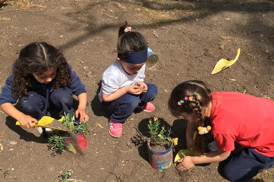 Estudiantes plantando flores y cuidando el ambiente
