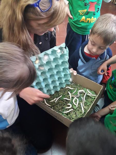 Estudiantes realizando una experiencia de ciencias en equipo