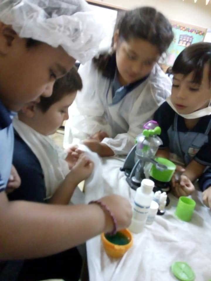 Estudiantes observando insectos durante una actividad
