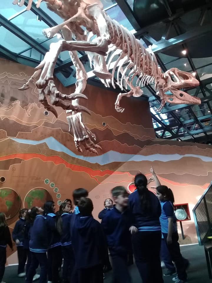 Estudiantes observando un esqueleto en un museo de ciencias