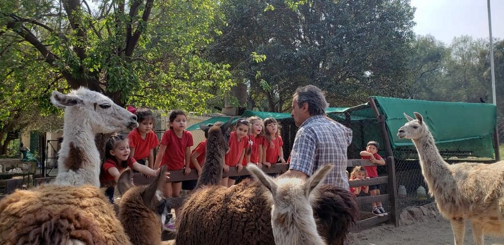 Estudiantes conociendo animales durante una salida educativa